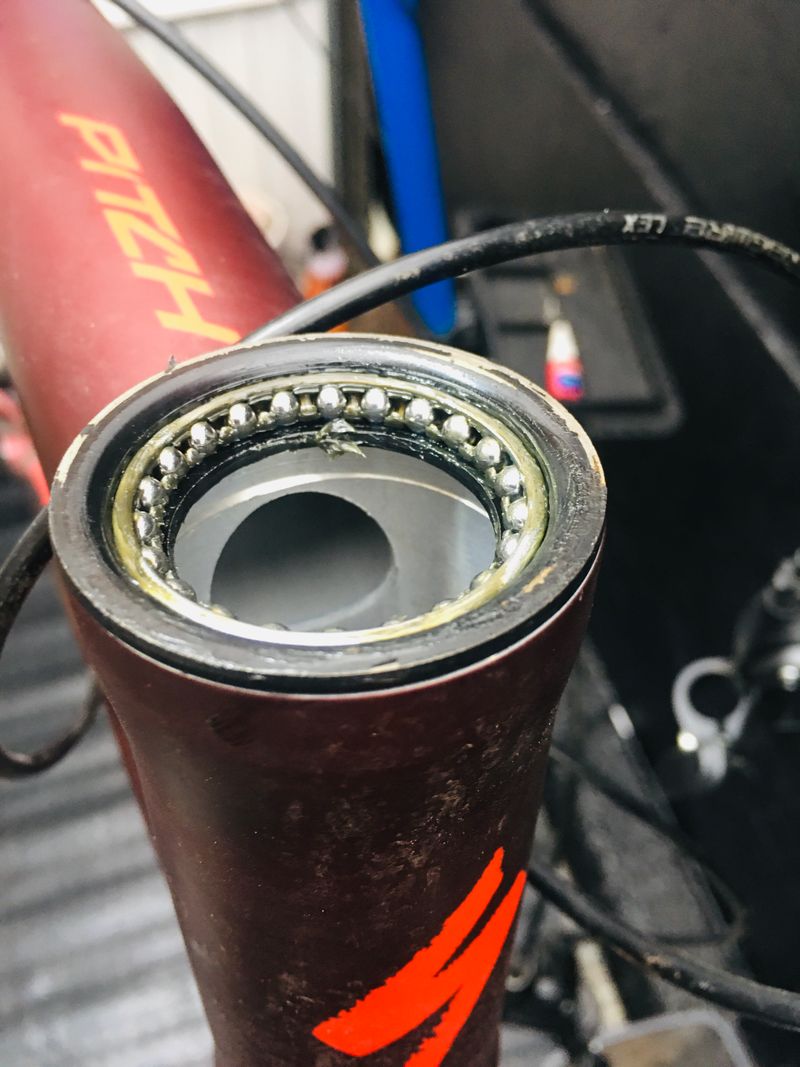 Headset bearings close-up during servicing on a Specialized Pitch frame